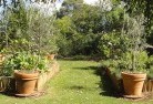 Blanche Harborvegetable-gardens-3.jpg; ?>